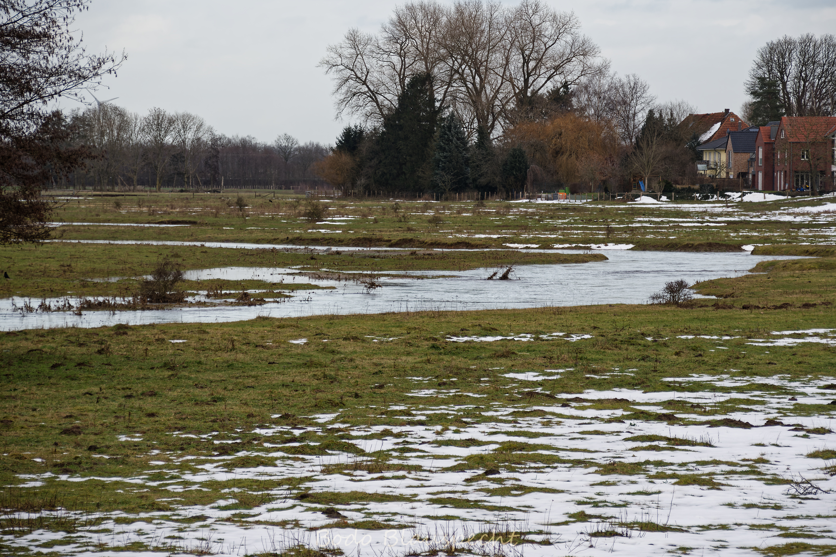 Hochwasser   Steveraue   2021.02.17 15.52 63 WEB